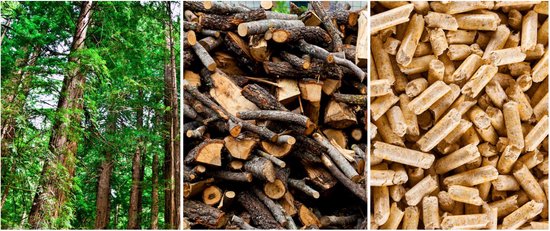 Pelletbox VAASA 5 - 4,9 kW - voor maximaal 135m3 - zwart - compact model